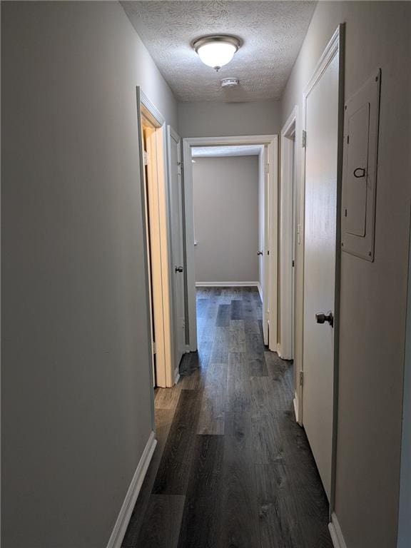 corridor featuring electric panel, dark hardwood / wood-style flooring, and a textured ceiling