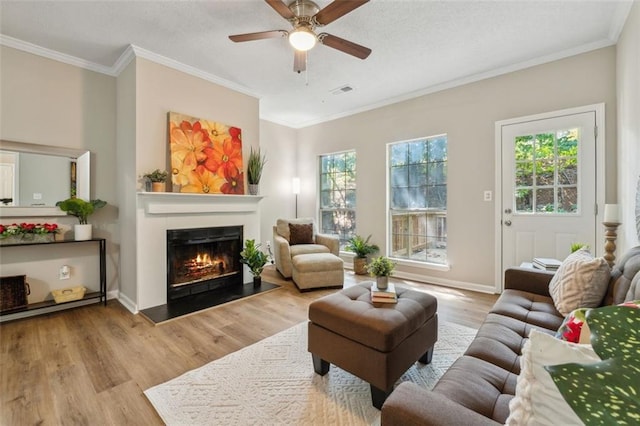 living room with ceiling fan, crown molding, and light hardwood / wood-style flooring