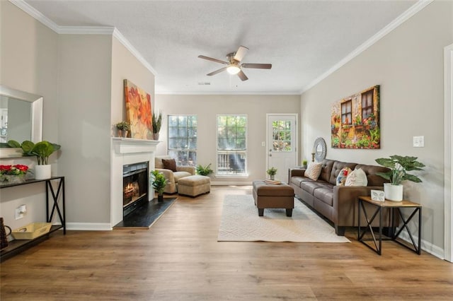 living room featuring ceiling fan, ornamental molding, and hardwood / wood-style flooring