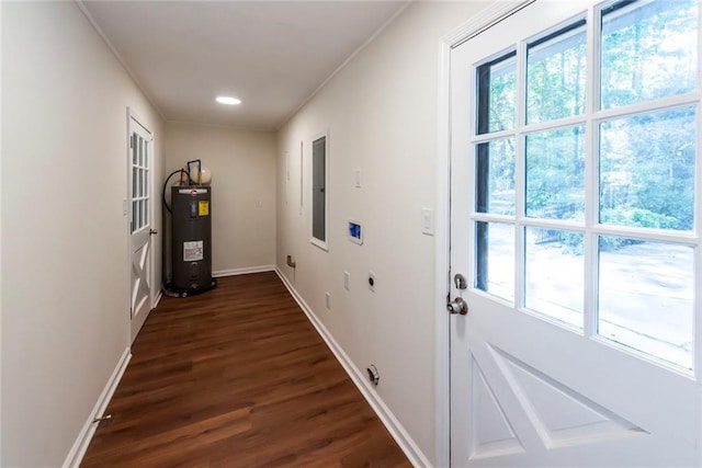 entryway featuring ornamental molding, electric water heater, and dark hardwood / wood-style flooring