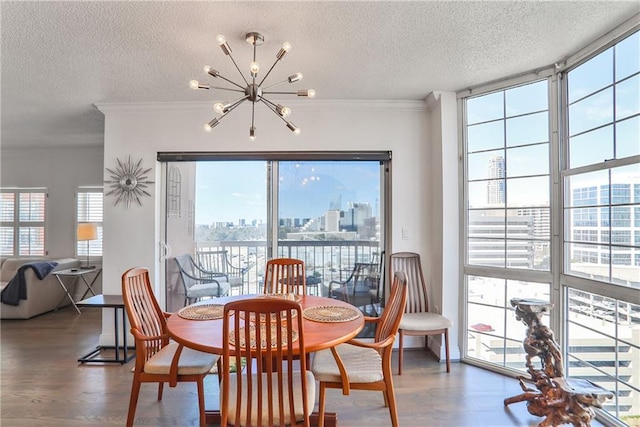 dining room featuring a notable chandelier, ornamental molding, a city view, and wood finished floors