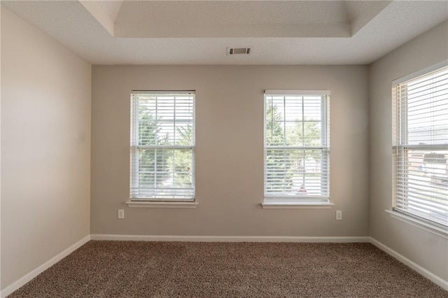 carpeted empty room with a raised ceiling and plenty of natural light