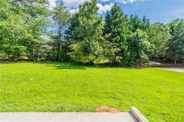 view of green lawn