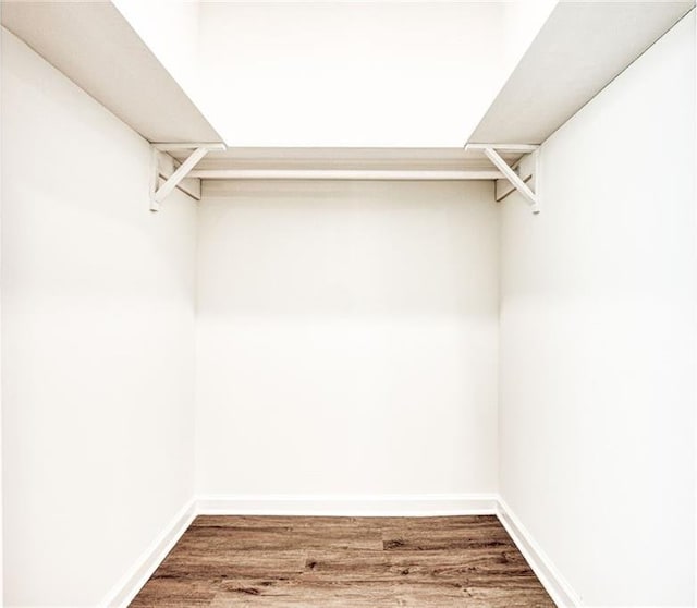 spacious closet featuring hardwood / wood-style flooring