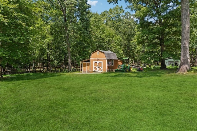 view of yard featuring a shed