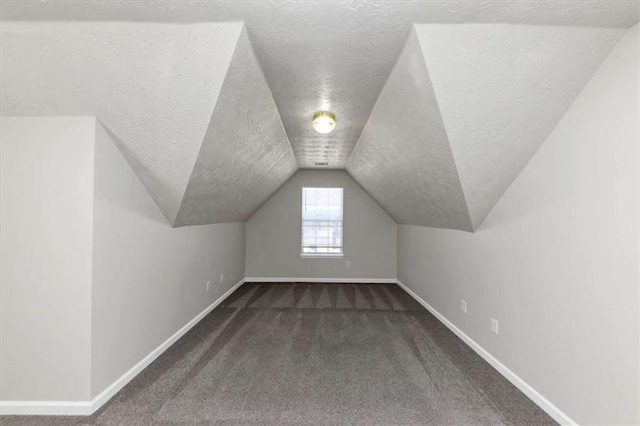 508 Cascade Walk, Mcdonough, GA 30253 - additional living space featuring carpet floors, a textured ceiling, and lofted ceiling