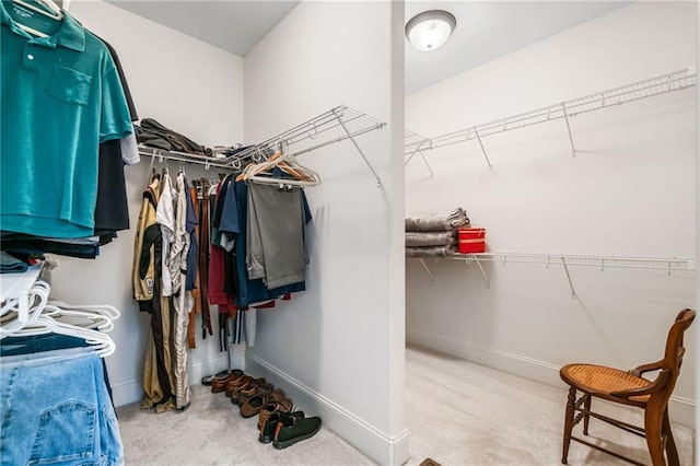 spacious closet with carpet