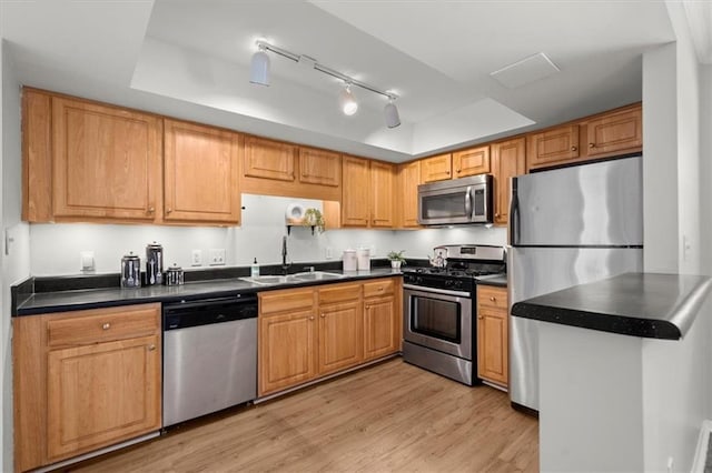 kitchen featuring stainless steel appliances, a tray ceiling, sink, and light wood-type flooring