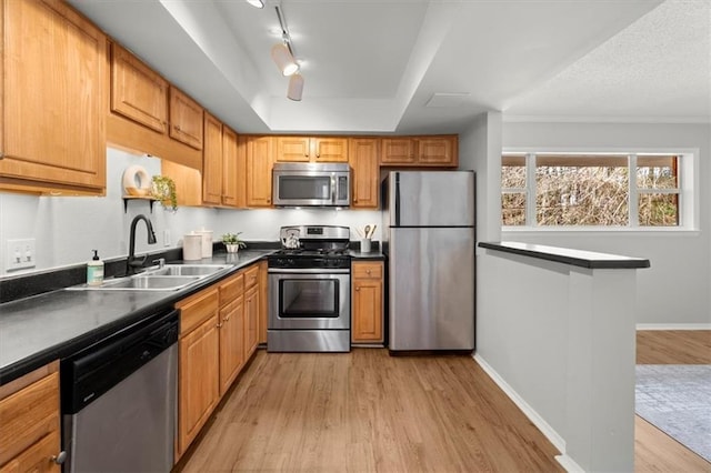 kitchen with appliances with stainless steel finishes, a raised ceiling, sink, and light wood-type flooring