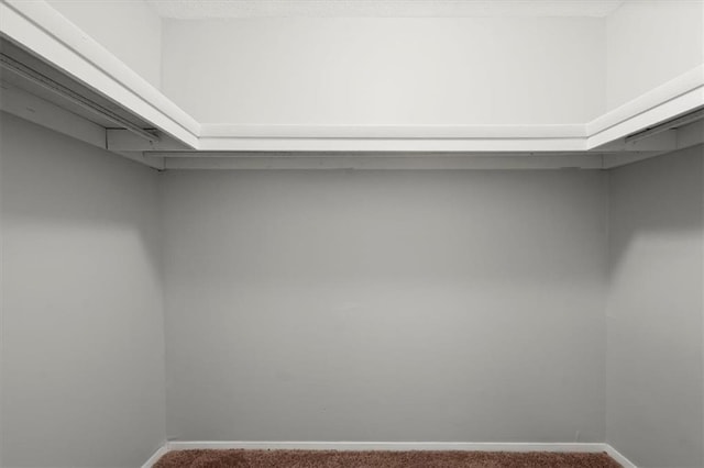 walk in closet with carpet flooring