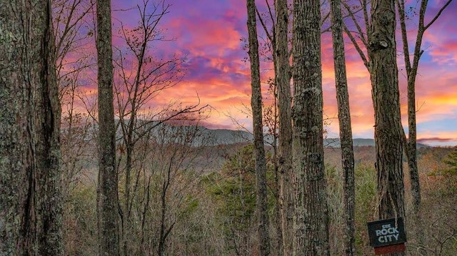 view of nature at dusk