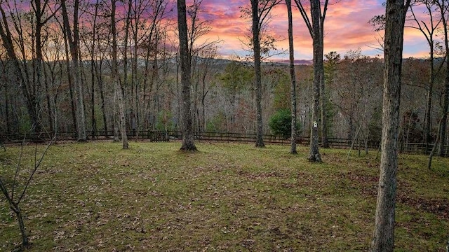 view of yard at dusk