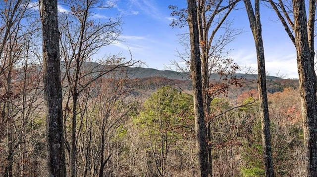 view of mountain feature