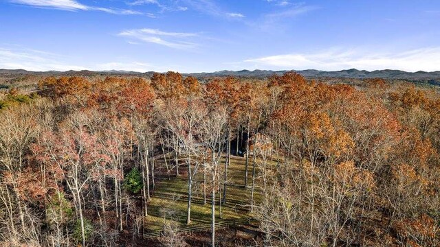 property view of mountains