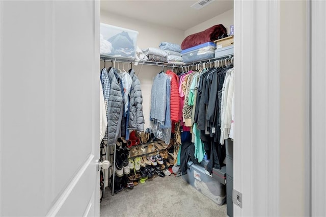 104 Auburn Crossing Way, Auburn, GA 30011 - walk in closet with carpet flooring