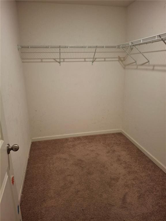 walk in closet featuring dark colored carpet