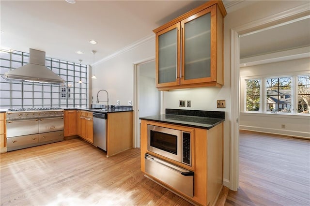 kitchen featuring light wood-type flooring, ornamental molding, wall chimney exhaust hood, stainless steel appliances, and sink