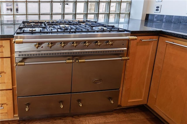 room details with dark stone countertops and high end stainless steel range oven