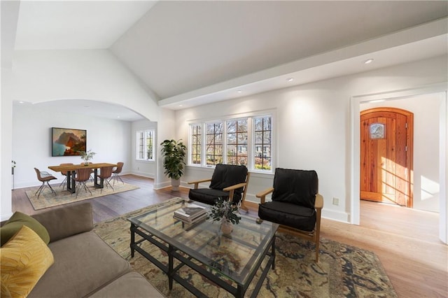 living room with hardwood / wood-style flooring and lofted ceiling