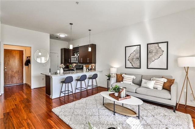 living room featuring dark wood-type flooring and sink