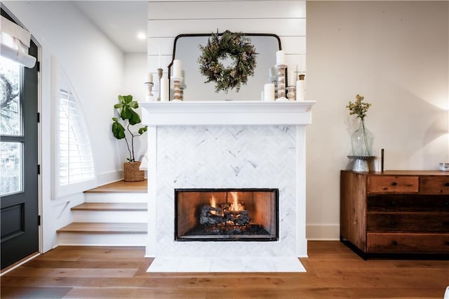 details featuring wood finished floors and a fireplace