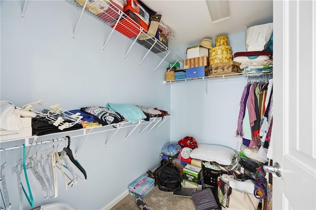 418 Thaxton Ln, Woodstock, GA 30188 - walk in closet with attic access and carpet floors
