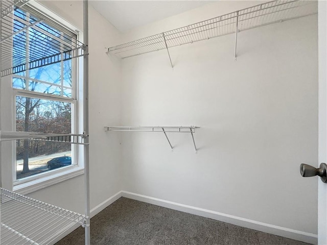 spacious closet with dark colored carpet