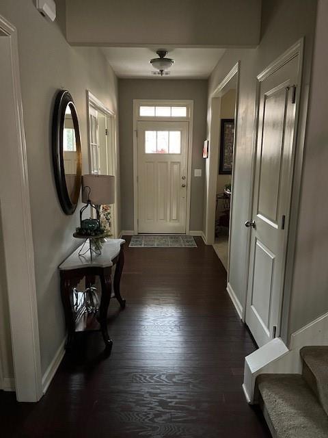 foyer with dark hardwood / wood-style flooring