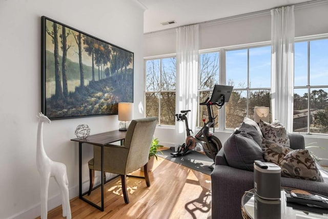 interior space featuring wood-type flooring and plenty of natural light