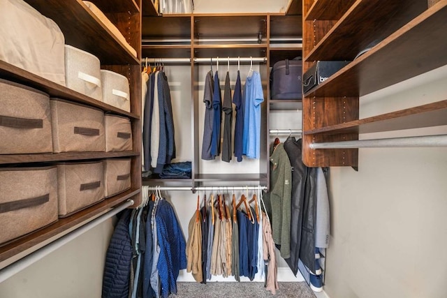 spacious closet featuring carpet flooring