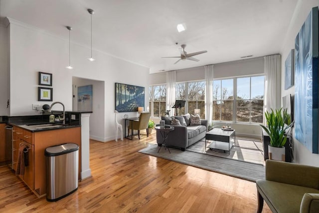 living room featuring ceiling fan, sink, and light wood-type flooring