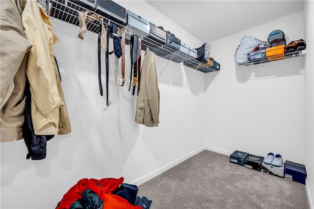 walk in closet featuring carpet