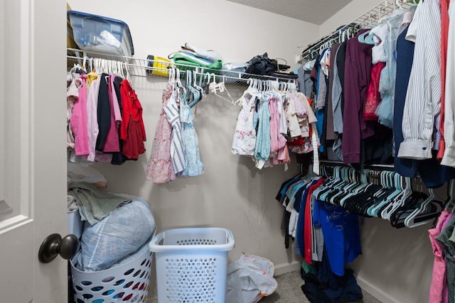 spacious closet featuring carpet
