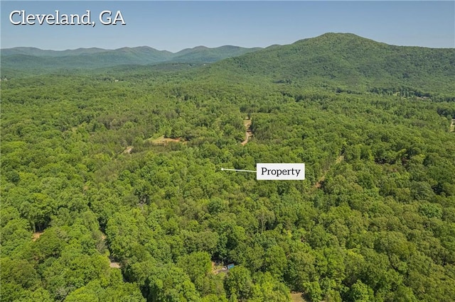 Listing photo 3 for 0 Mount Pleasant Church Rd, Cleveland GA 30528