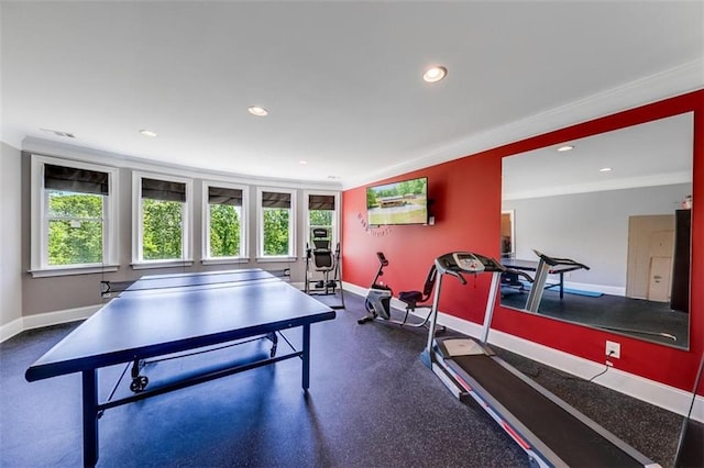 playroom featuring crown molding