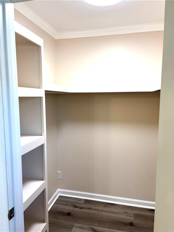 spare room with dark wood-type flooring and crown molding