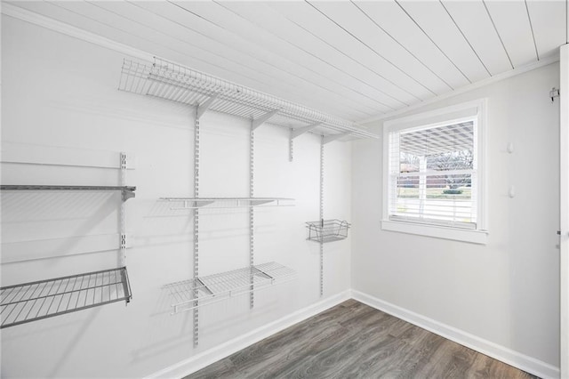 spacious closet featuring dark wood-style flooring