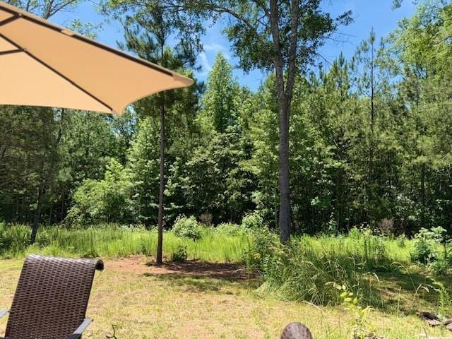 50 Scout Hut Rd, Danielsville, GA 30633 - view of yard featuring a view of trees