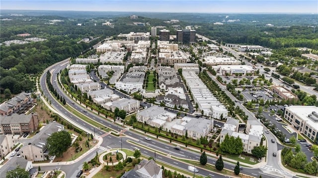 132 Grand Cres, Alpharetta, GA 30009 - aerial view of property's location