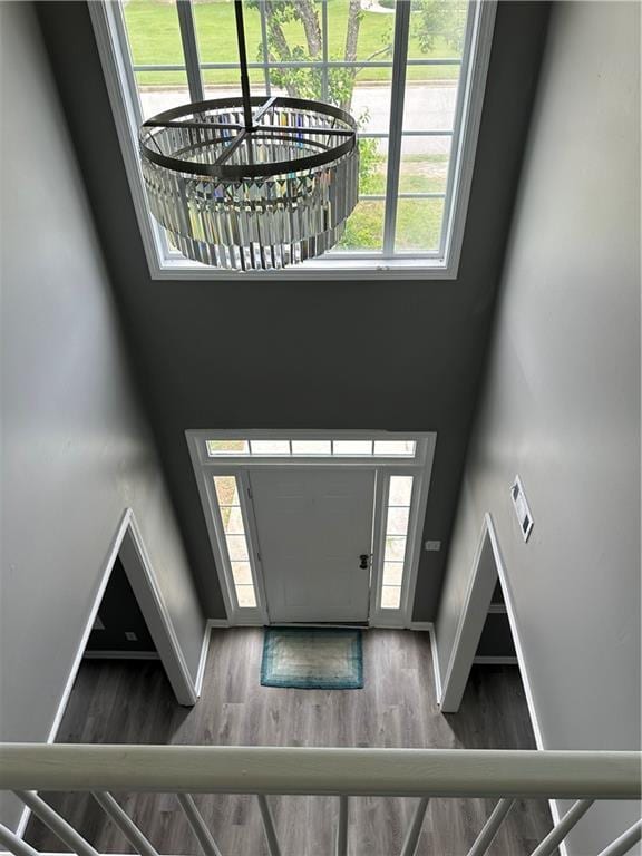 entryway with a towering ceiling and dark hardwood / wood-style flooring