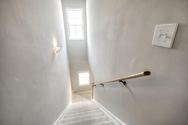 stairway featuring carpet floors and baseboards