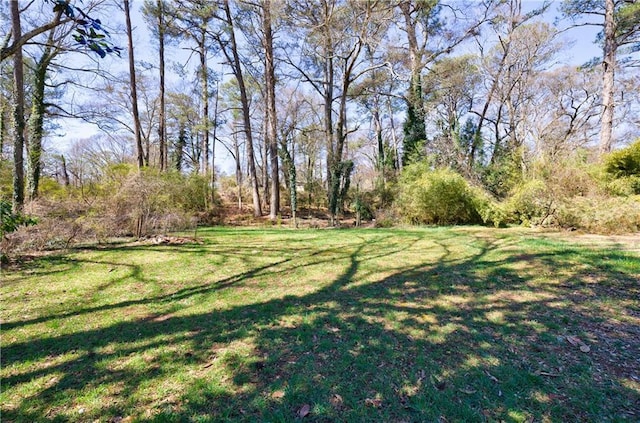 141 Nathan Rd, Atlanta, GA 30331 - view of green lawn