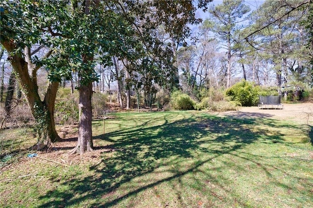141 Nathan Rd, Atlanta, GA 30331 - view of grassy yard with a trampoline