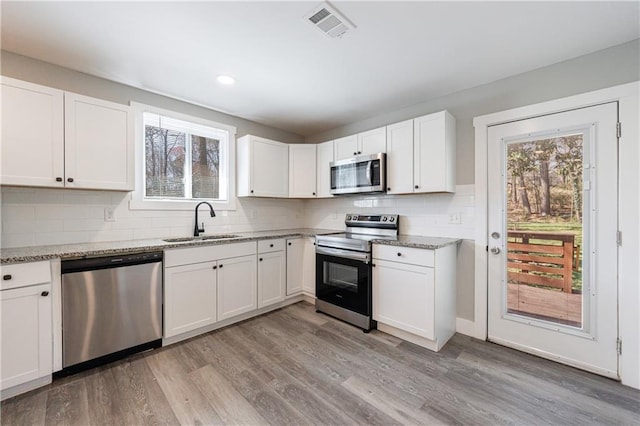 141 Nathan Rd, Atlanta, GA 30331 - kitchen featuring stainless steel appliances, a sink, plenty of natural light, light wood-style flooring, and recessed lighting