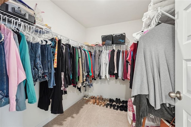 29 Gaston Ct, Hoschton, GA 30548 - walk in closet with carpet flooring