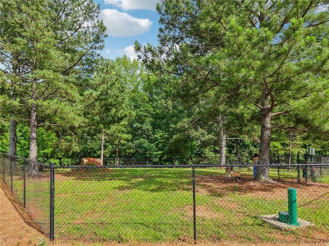 29 Gaston Ct, Hoschton, GA 30548 - view of yard