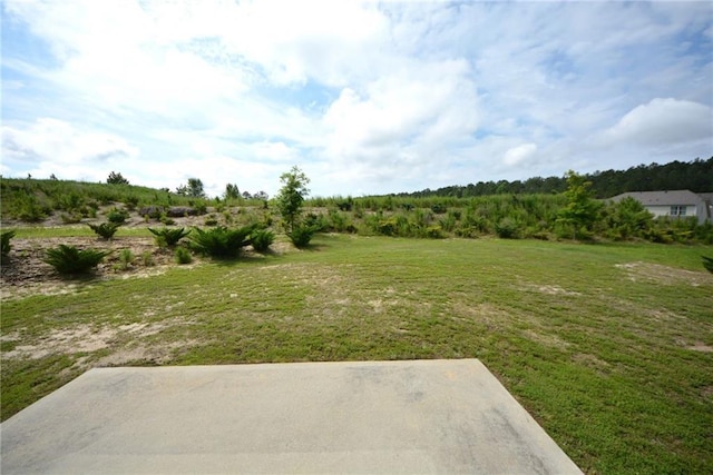 7753 Hansel Ln, Lithonia, GA 30058 - view of green lawn featuring a patio area