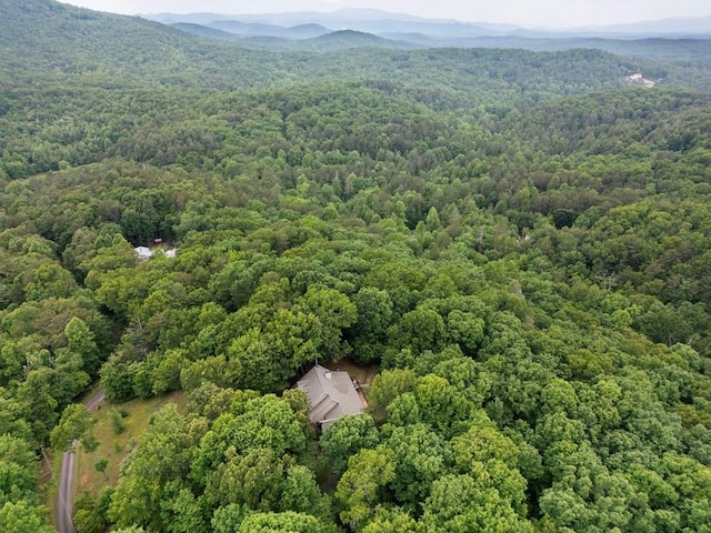 aerial view with a mountain view