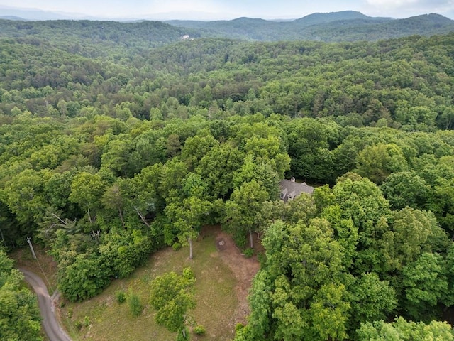 aerial view featuring a mountain view