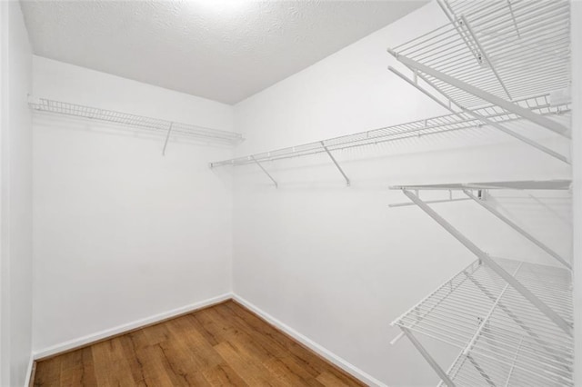 spacious closet featuring wood finished floors